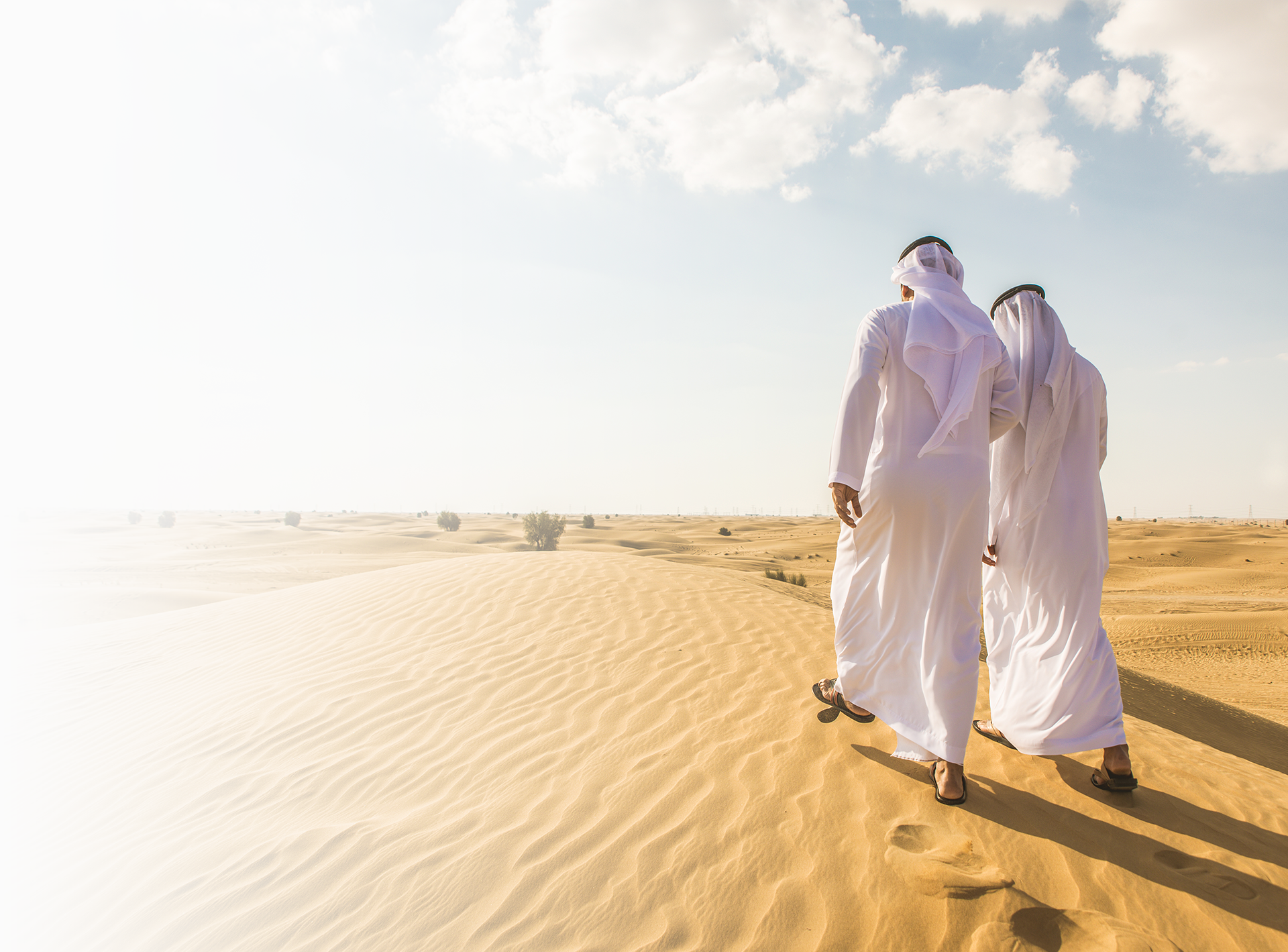 renew your uae visa with top visa consultants and service providers in uae